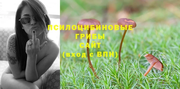 таблы Алексеевка
